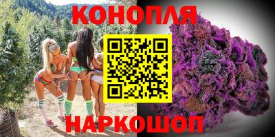 гидропоника Жуковский