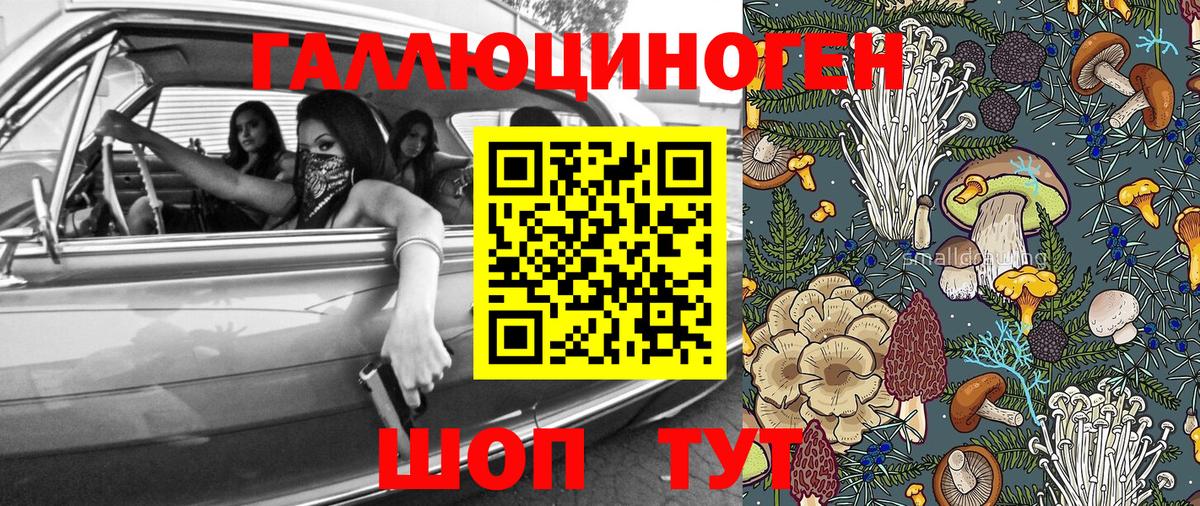 Псилоцибиновые грибы GOLDEN TEACHER Мирный