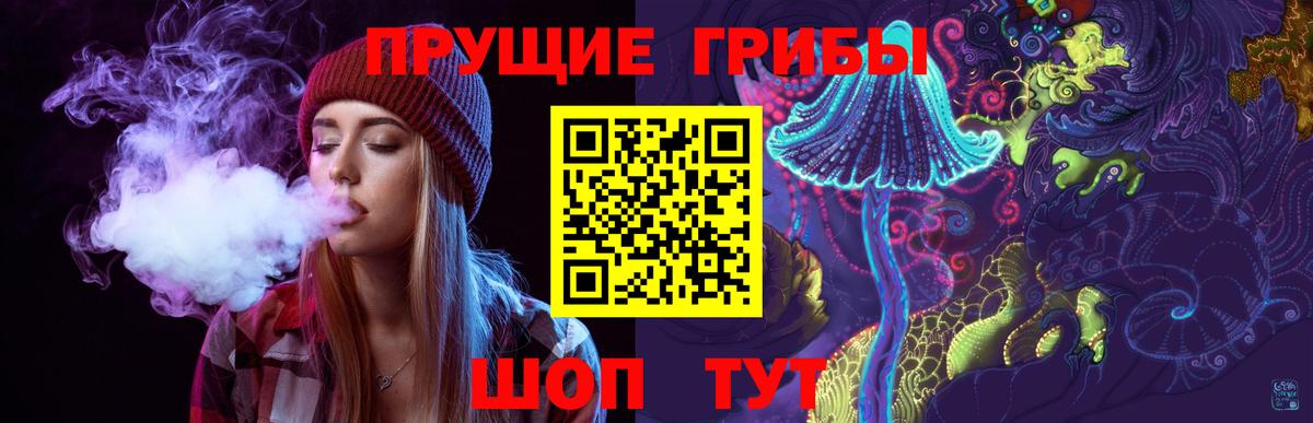 Псилоцибиновые грибы GOLDEN TEACHER  Вход с VPN  Галлюциногенные грибы Magic Shrooms  Мирный 